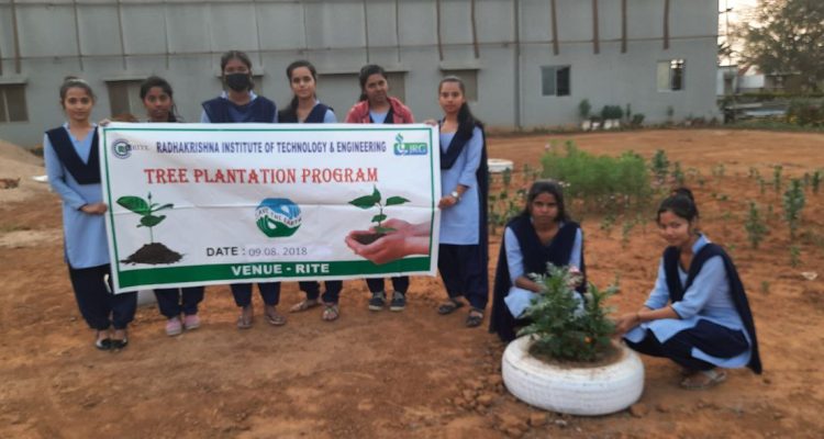 RITE_PLANTATION